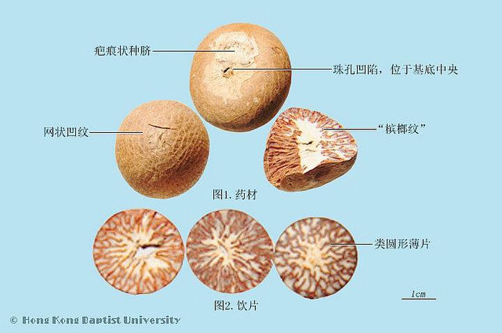 槟榔