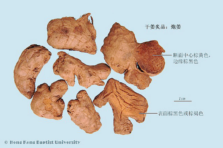 炮姜
