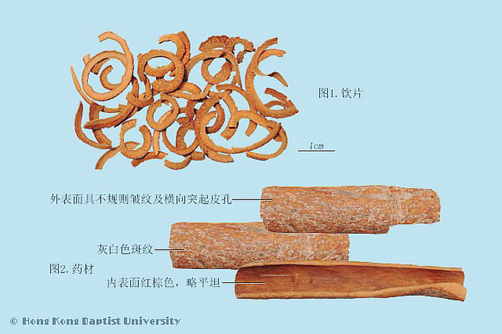 肉桂
