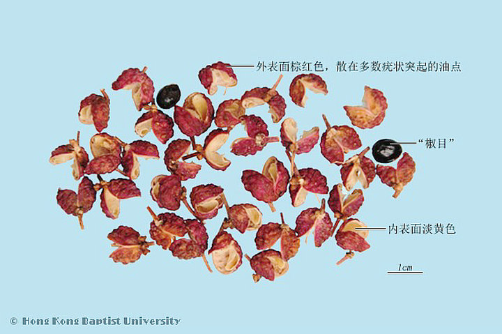 花椒
