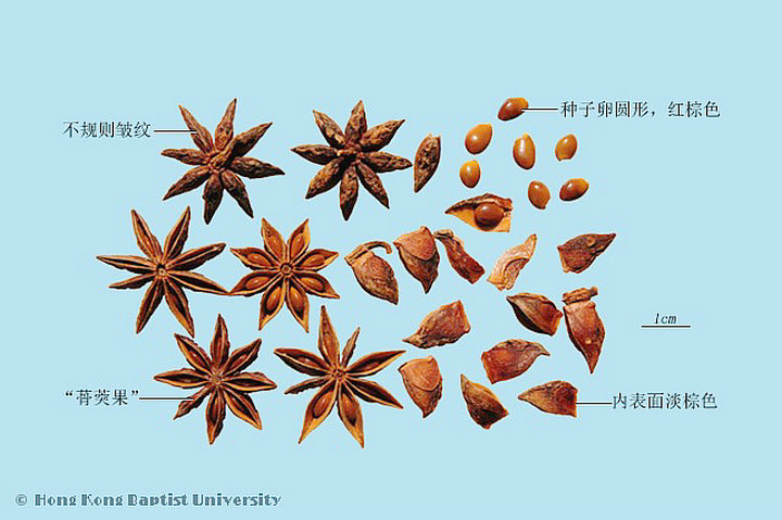 八角茴香