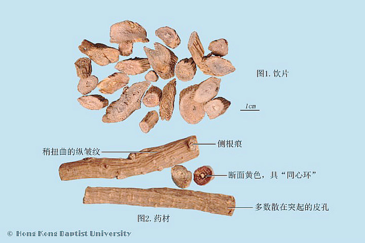 川牛膝