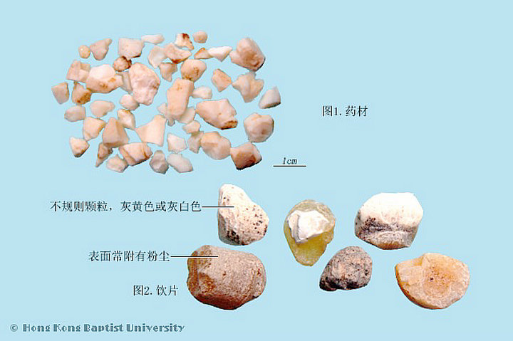 天竺黄