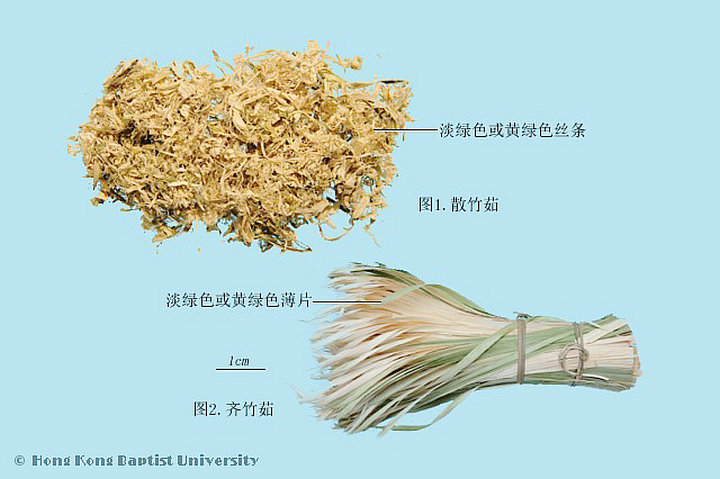 竹茹