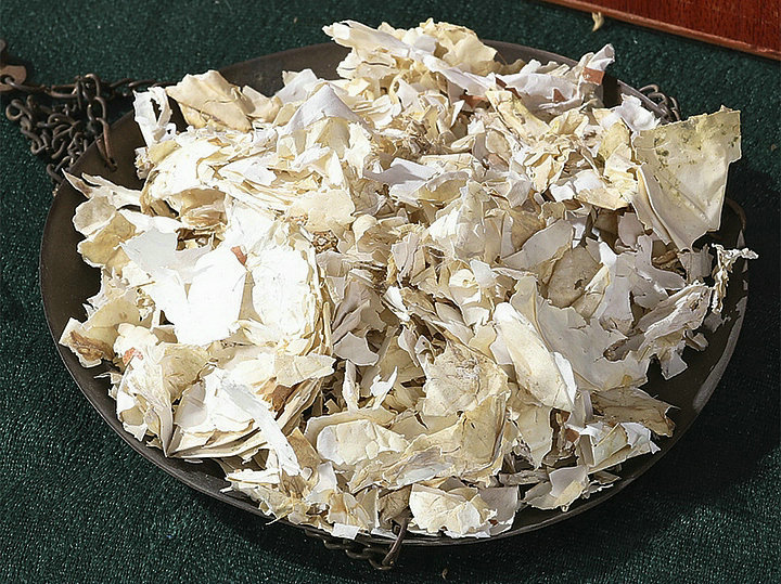 凤凰衣