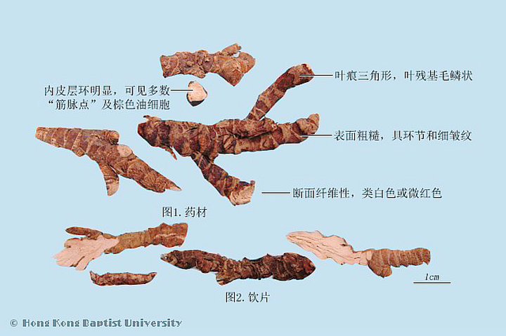 石菖蒲