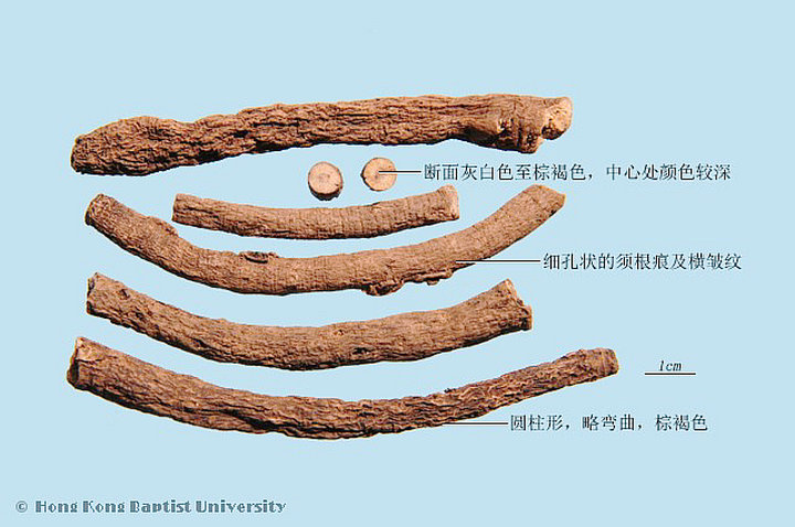 仙茅