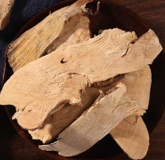 茶树根