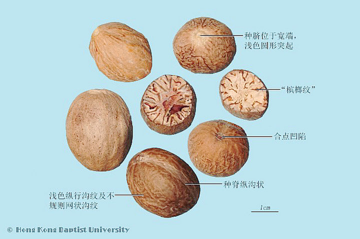 肉豆蔻