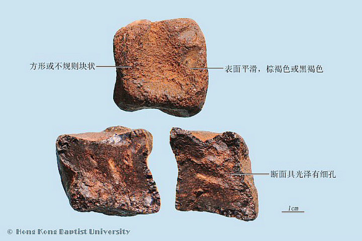 儿茶