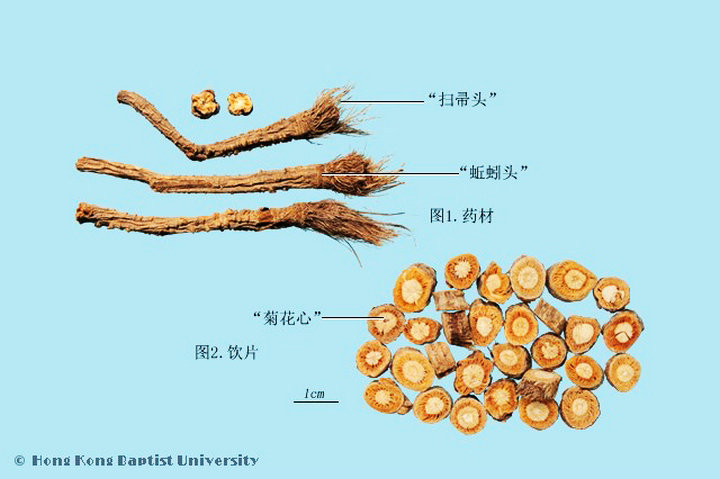 防风
