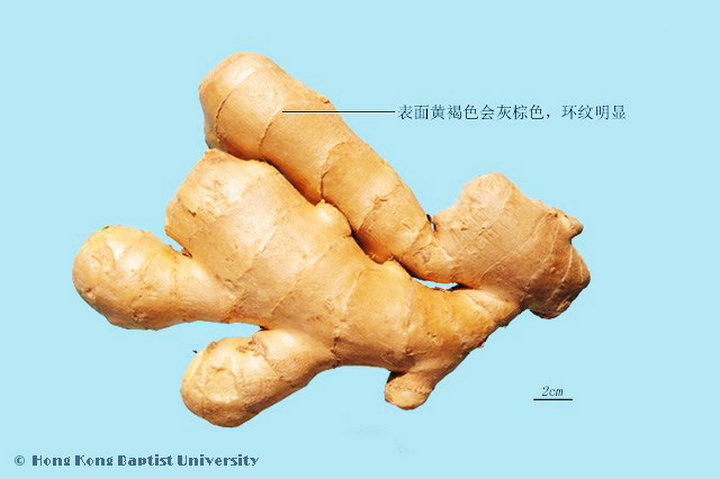 生姜