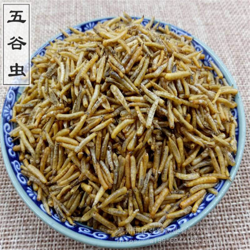 五谷虫