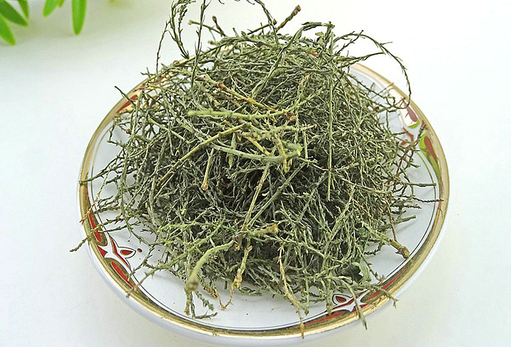 西河柳