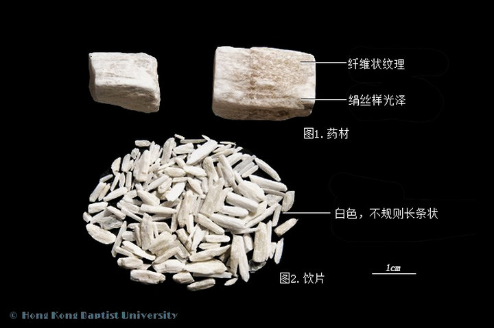 石膏