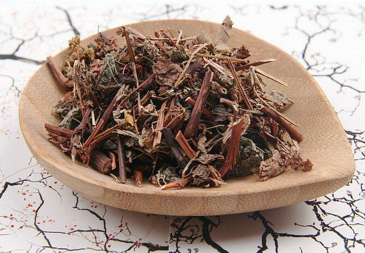犁头草
