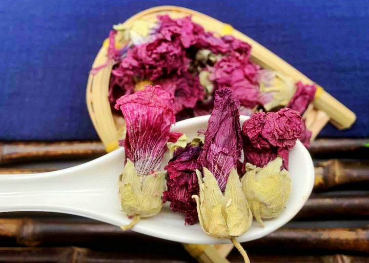 芙蓉花