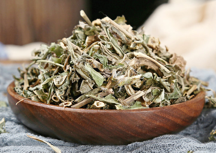 败酱草