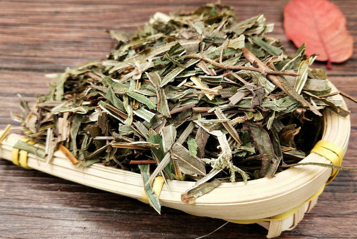 凤尾草