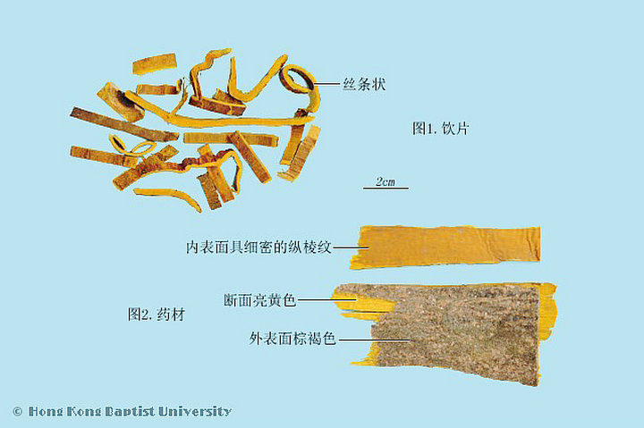 黄柏