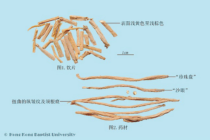 银柴胡