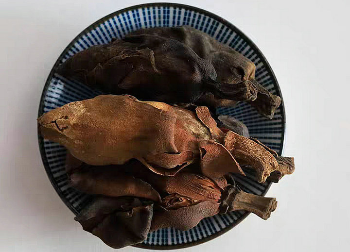 厚朴花