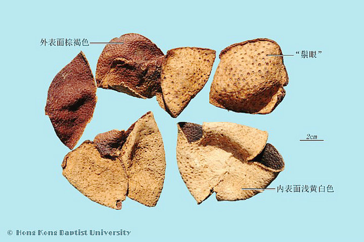 陈皮