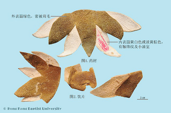 化橘红