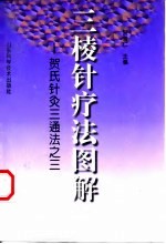三棱针疗法图解  贺氏针灸三通法之三 封面