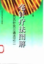 毫针疗法图解  贺氏针灸三通法之二 封面