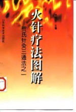 火针疗法图解  贺氏针灸三通法之一 封面