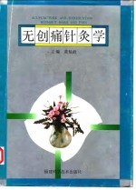 无创痛针灸学 封面