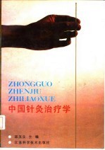 中国针灸治疗学 封面