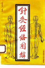 针灸经络图解 封面