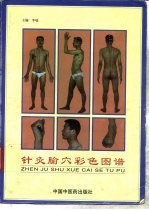 针灸腧穴彩色图谱 封面