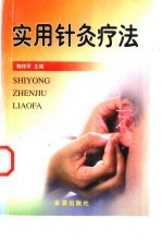实用针灸疗法 封面