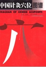 中国针灸穴位图谱 封面