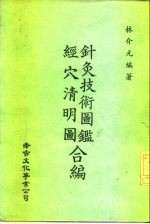 针灸技术图鉴  经穴清明图合编 封面