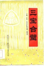 三宝合璧  中药、针灸、推拿治疗常见病、疑难病 封面