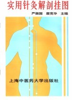 实用针灸解剖挂图 封面