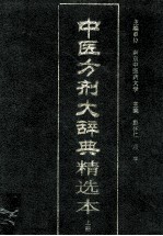 中医方剂大辞典精选本  上 封面