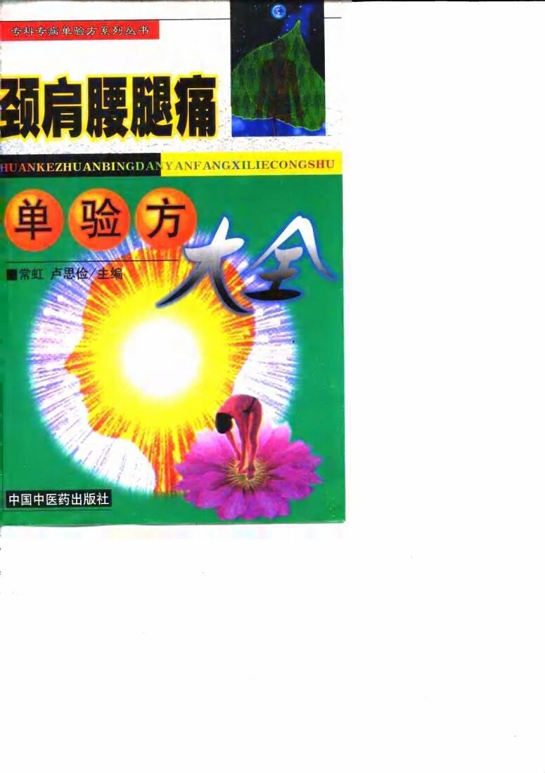 颈肩腰腿痛单验方大全 封面