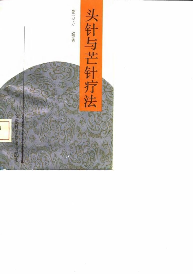 头针与芒针疗法 封面