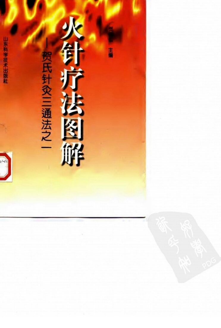 火针疗法图解  贺氏针灸三通法之一 封面