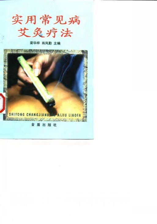 实用常见病艾灸疗法 封面