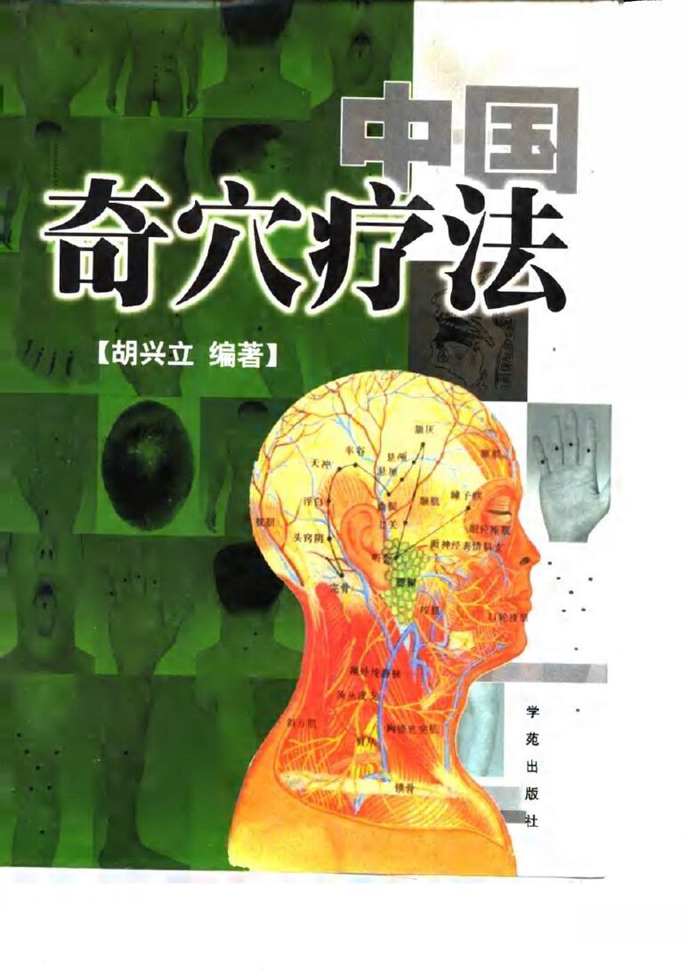 中国奇穴疗法 封面