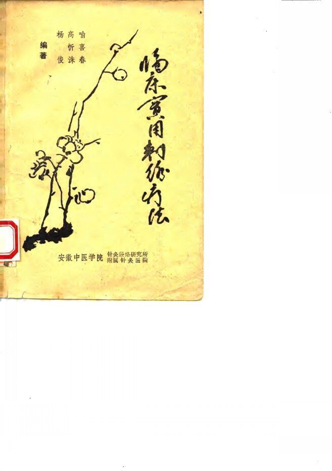 临床实用刺络疗法 封面