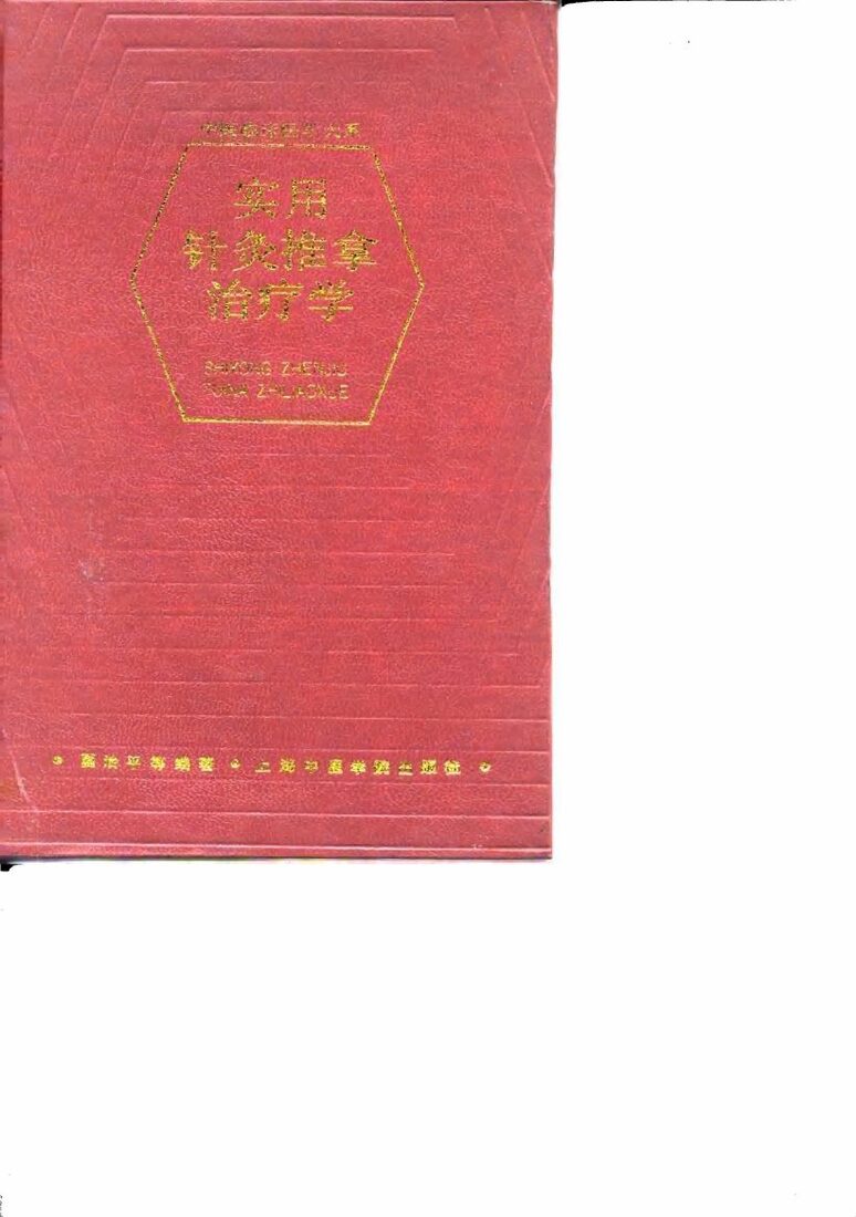 实用针灸推拿治疗学 封面