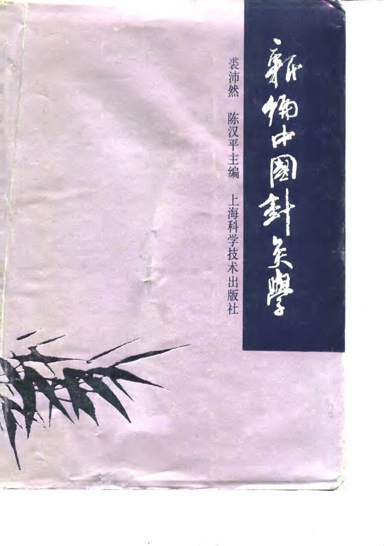 新编中国针灸学 封面