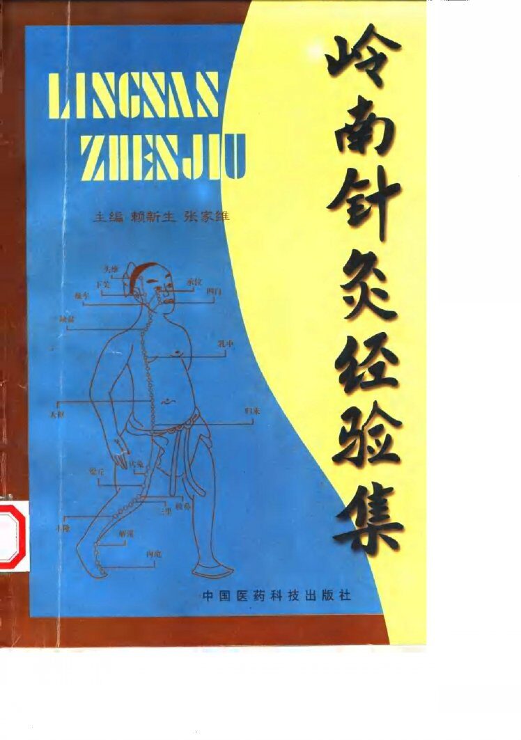 岭南针灸经验集 封面